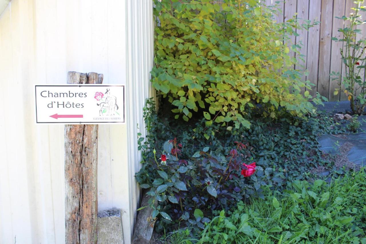 Chambre D'Hote En Vallee Du Loir - Elevage Des Rosiers Bazouges-sur-le-Loir Екстер'єр фото
