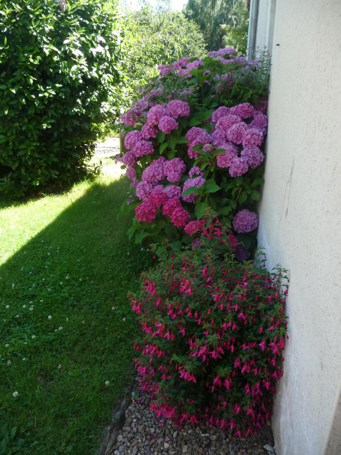 Chambre D'Hote En Vallee Du Loir - Elevage Des Rosiers Bazouges-sur-le-Loir Екстер'єр фото