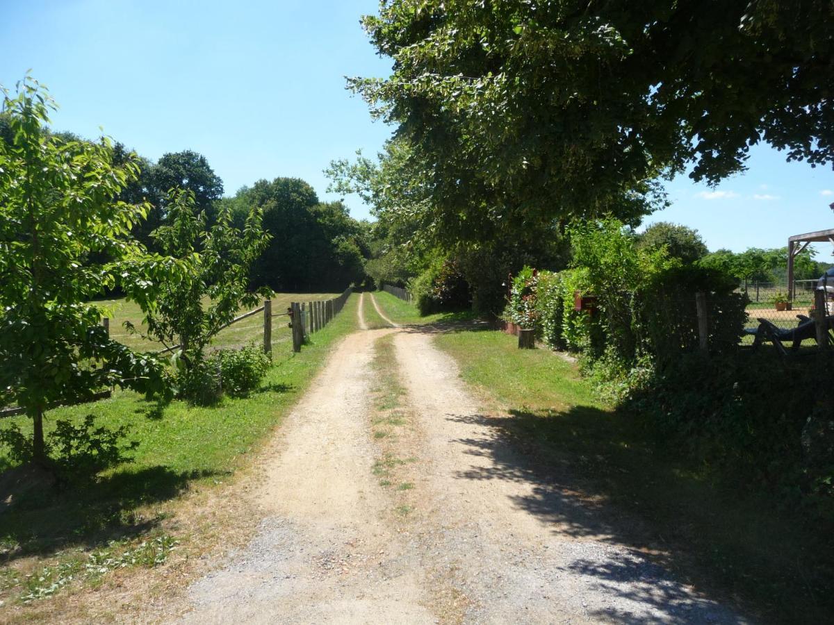 Chambre D'Hote En Vallee Du Loir - Elevage Des Rosiers Bazouges-sur-le-Loir Екстер'єр фото